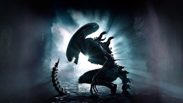 Covenant Xenomorph Crouching in Darkness 4K Wallpaper