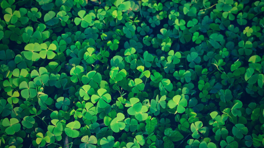 Vibrant Green Four-Leaf Clover Pattern Desktop Wallpaper
