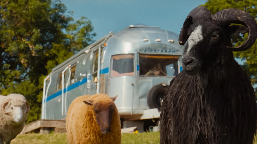 Sheep and Vintage Trailer Desktop Wallpaper