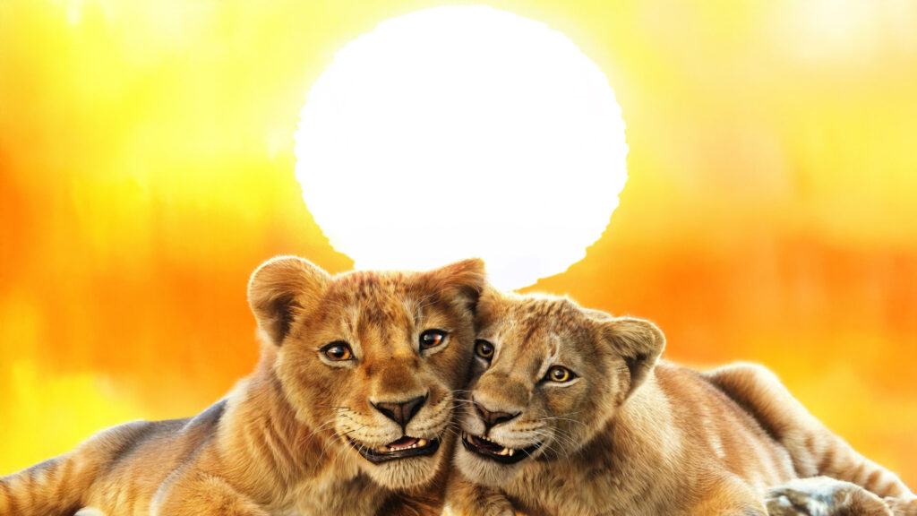 Two Young Lions Sunbathing Desktop Wallpaper