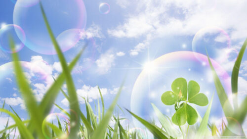 Dreamy Green Clover and Bubbles Nature 4K Desktop Wallpaper