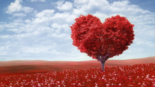 Surreal Heart Shaped Red Tree Landscape 4K Desktop Wallpaper