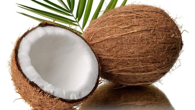 Fresh Tropical Coconut 4K Desktop Wallpaper