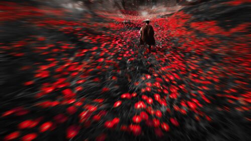 Lone Wanderer in Red Poppy Field Desktop Wallpaper