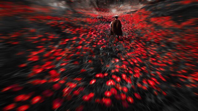 Lone Wanderer in Red Poppy Field Desktop Wallpaper