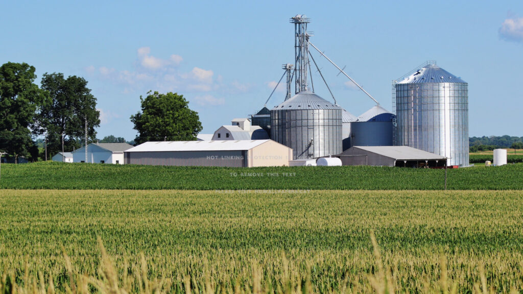 Agricultural Farm Silos and Corn Field Desktop Wallpaper