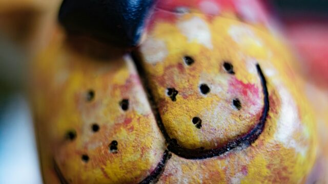 Macro Shot of Yellow Stippled Texture Ceramic Animal Face 4K Wallpaper
