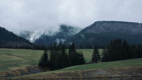 Misty Mountain Landscape with Pine Forest and Meadow Desktop Wallpaper