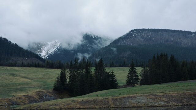 Misty Mountain Landscape with Pine Forest and Meadow Desktop Wallpaper