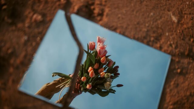 Tulips Reflected in Mirror Aesthetic Art Desktop Wallpaper