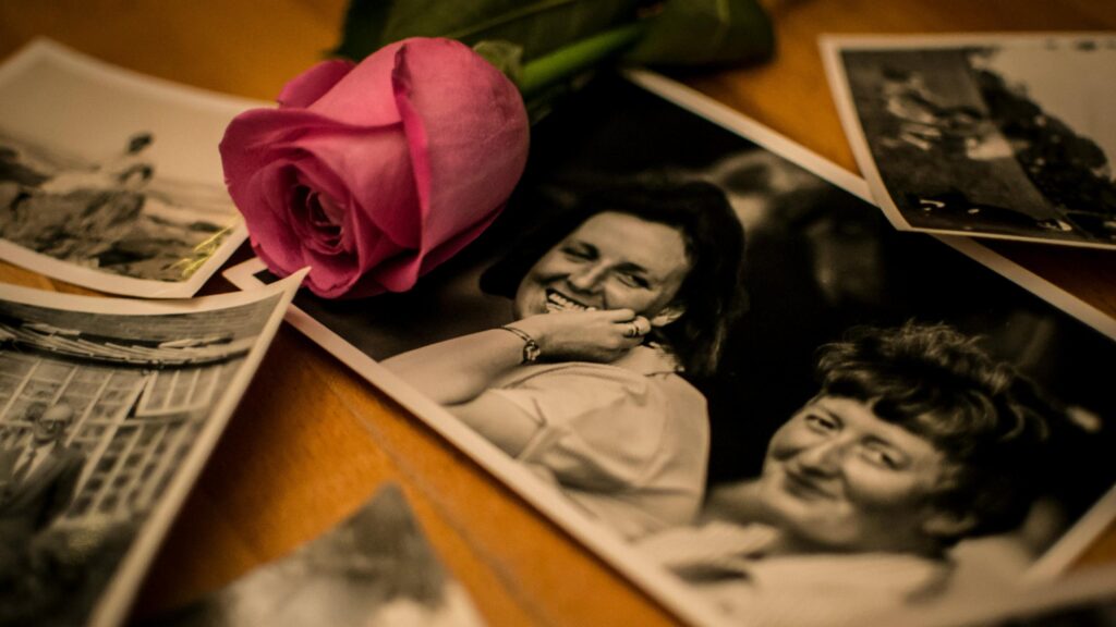 Vintage Memory Nostalgia with Pink Rose 4K Desktop Wallpaper
