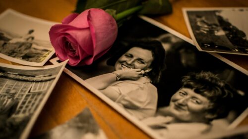Vintage Memory Nostalgia with Pink Rose 4K Desktop Wallpaper