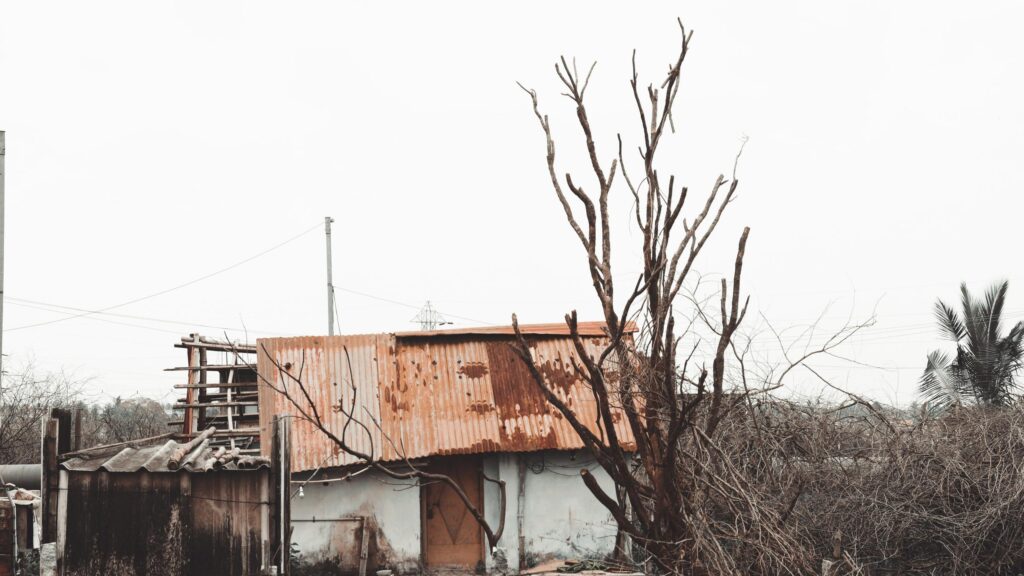 Rustic Abandoned Shanty with Bare Tree Landscape 4K Wallpaper