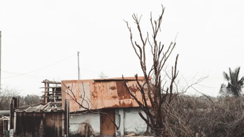 Rustic Abandoned Shanty with Bare Tree Landscape 4K Wallpaper