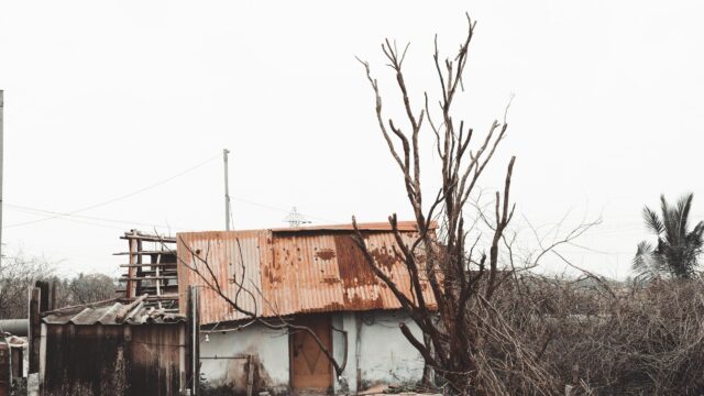Rustic Abandoned Shanty with Bare Tree Landscape 4K Wallpaper