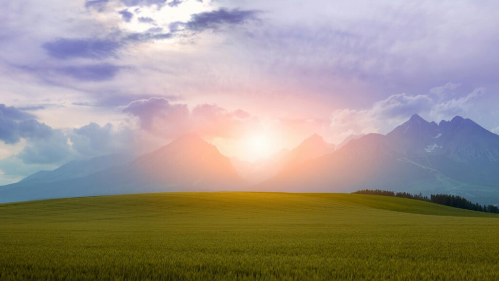 Golden Wheat Field Under Dramatic Mountain Sunset 4K Wallpaper
