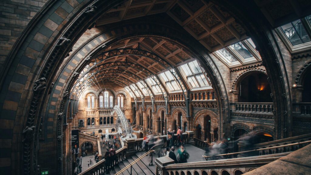 Natural History Museum London Grand Hall Architecture 4K Wallpaper