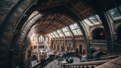 Natural History Museum London Grand Hall Architecture 4K Wallpaper