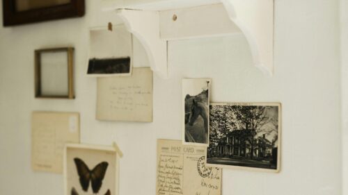 Vintage Wall Gallery with Old Postcards and Botanical Prints Desktop Wallpaper
