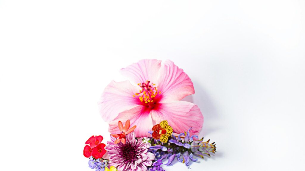 Beautiful Pink Hibiscus and Tropical Wildflower Bouquet 4K Wallpaper