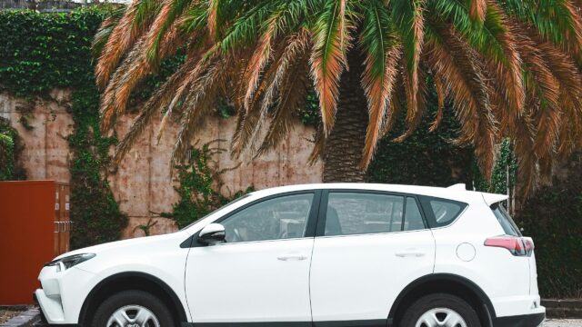 White SUV Parked Under Palm Tree 4K Desktop Wallpaper