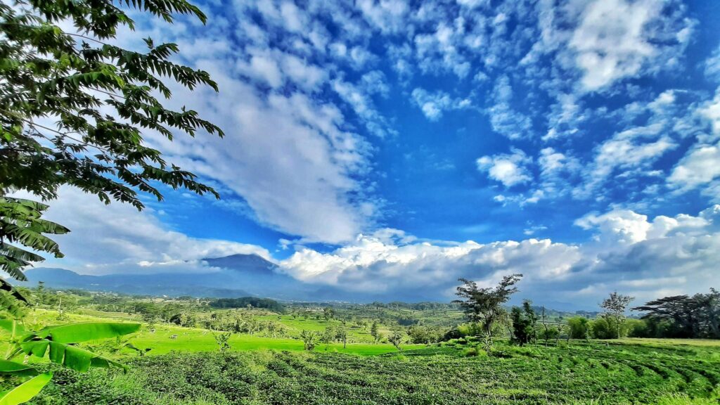 Majestic Tropical Mountain Landscape under Vibrant Blue Sky 4K Wallpaper