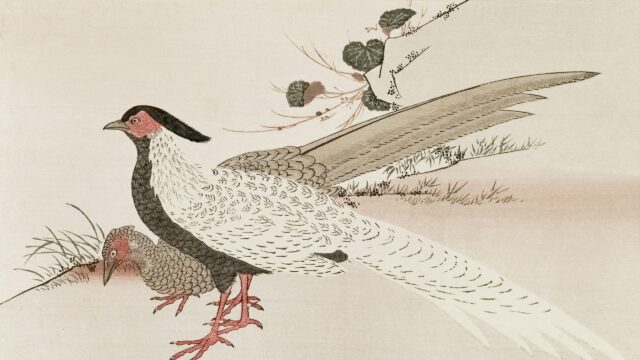Elegant Japanese Woodblock Style Pheasants Art 4K Desktop Wallpaper