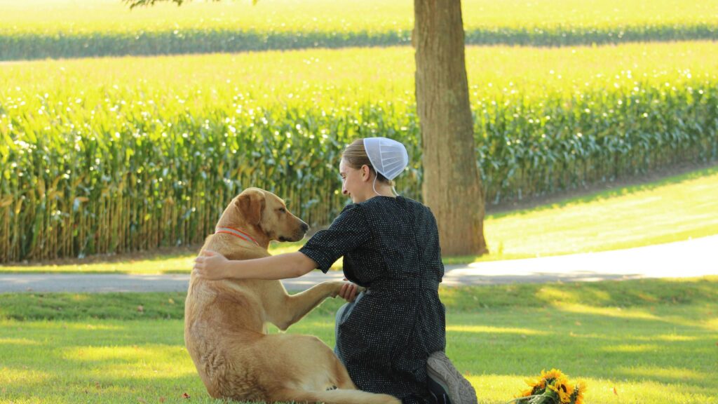 Amish Girl Kneeling with Her Golden Retriever Desktop Wallpaper
