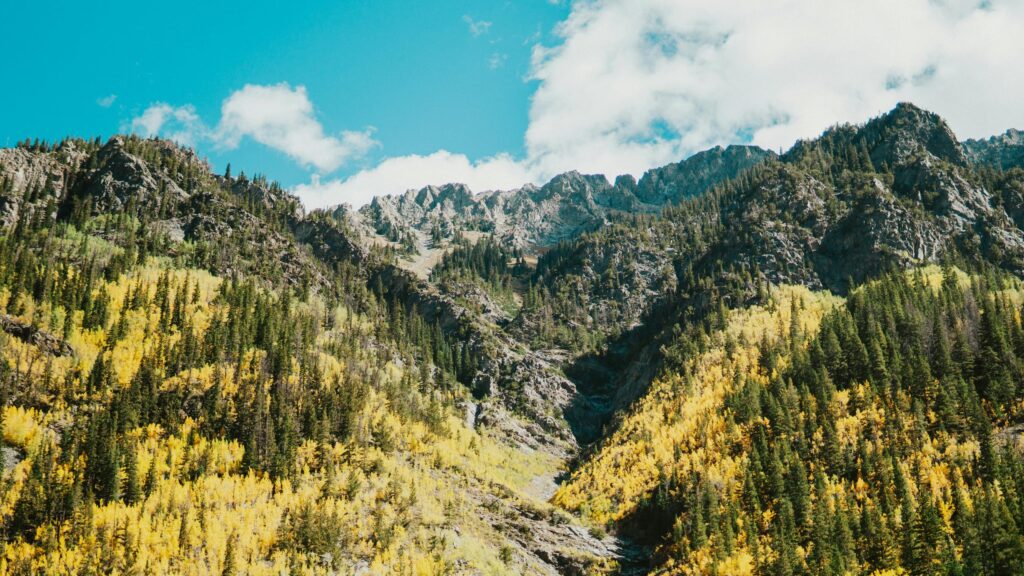 Breathtaking Autumn Mountain Peaks with Vibrant Yellow Aspen Trees 4K Wallpaper