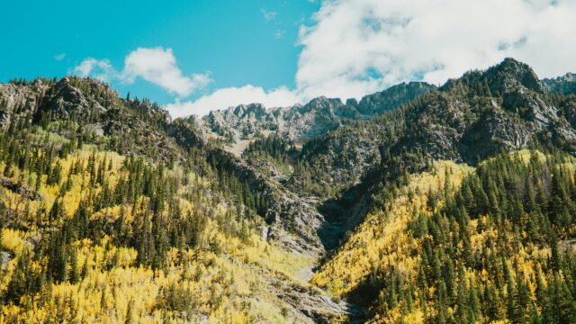 Breathtaking Autumn Mountain Peaks with Vibrant Yellow Aspen Trees 4K Wallpaper