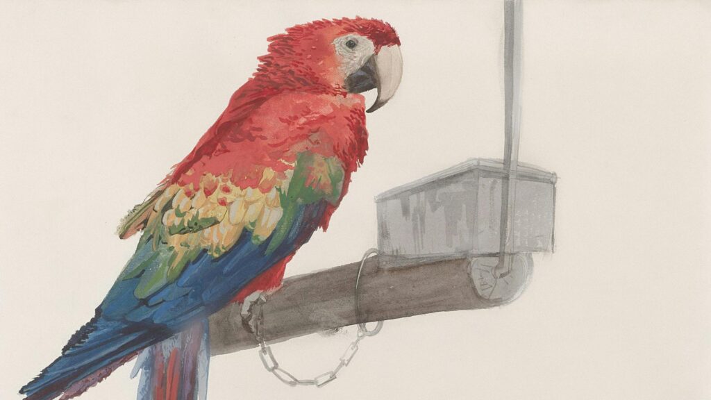 Beautiful Watercolor Macaw Parrot Perched on Branch 4K Wallpaper