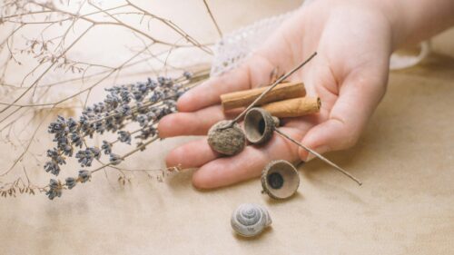 Rustic Autumn Aesthetic with Acorns and Cinnamon PC Wallpaper