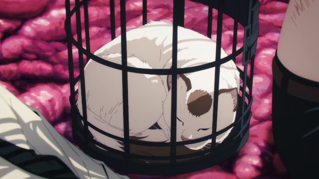 Cute Sleeping Cat Inside a Cage Anime Aesthetic 4K Wallpaper