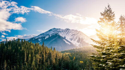 Breathtaking Snowy Mountain Peaks and Golden Sunlit Forest Desktop Wallpaper