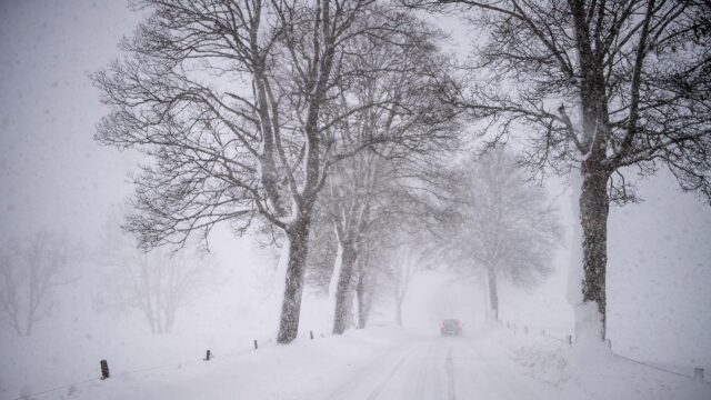 Snowy Country Road Through Bare Winter Trees 4K Wallpaper