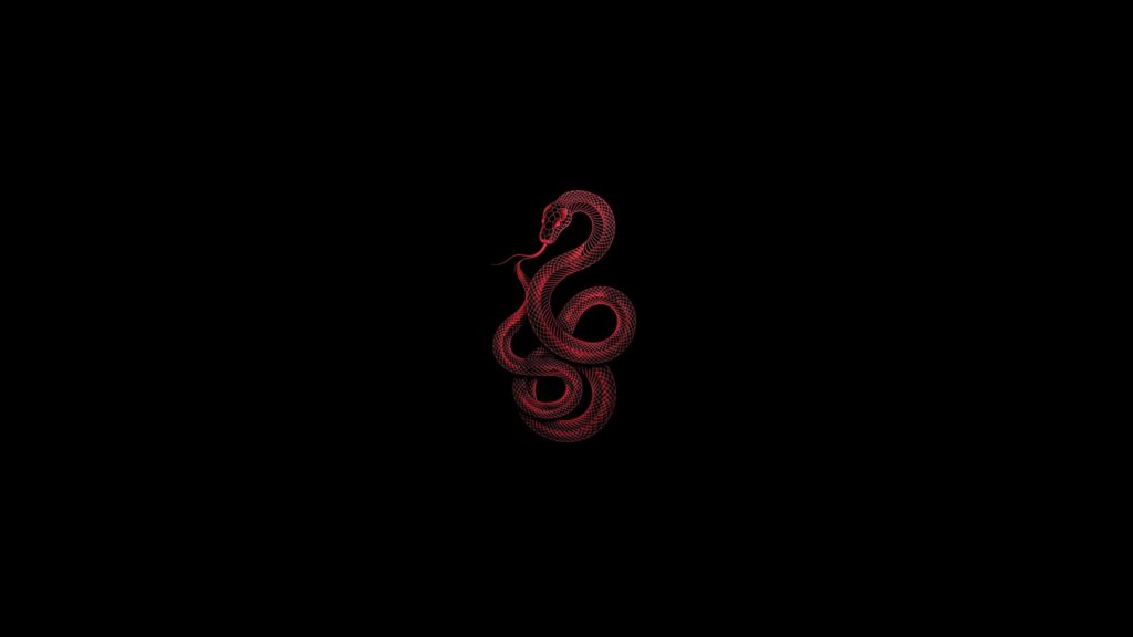 Minimalist Red Wireframe Snake Art on Black Background 4K Wallpaper