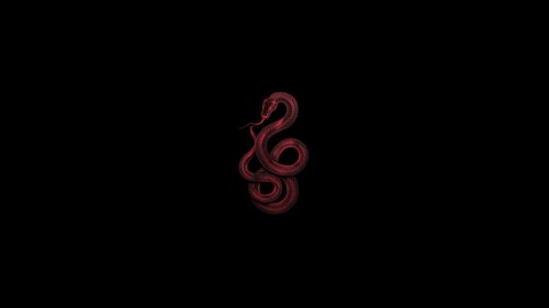 Minimalist Red Wireframe Snake Art on Black Background 4K Wallpaper