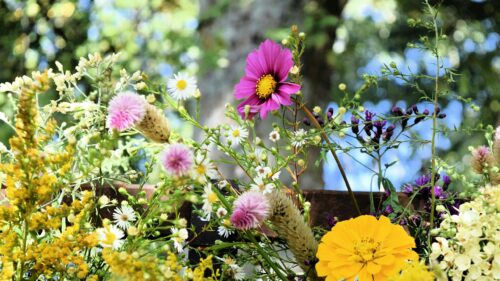 Vibrant Wildflower Meadow Bouquet Nature 4K Desktop Wallpaper