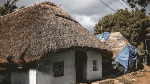 Rustic Thatched Roof Village House in Tropical Sunlight 4K Wallpaper