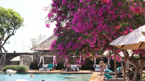Tropical Resort Pool with Vibrant Bougainvillea Flowers 4K Wallpaper