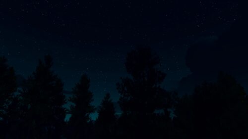 Serene Night Forest Under a Starry Sky PC Wallpaper