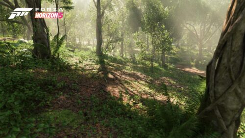 Forza Horizon 5 Lush Jungle Forest Scenery 4K Desktop Wallpaper
