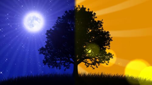 Dual Nature Day and Night Tree Silhouette 4K PC Wallpaper