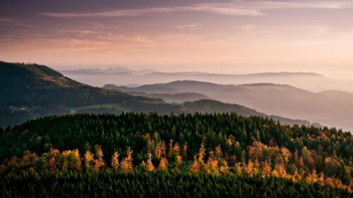 Breathtaking Autumn Forest Mountain Sunset Scenic Desktop Wallpaper