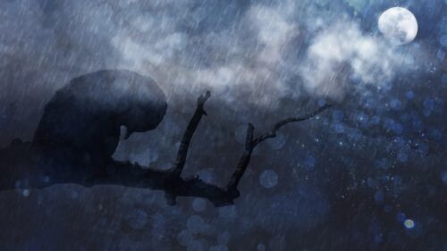 Melancholic Owl on Branch under Moonlight Rain PC Wallpaper