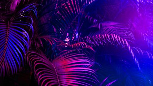 Neon Palm Leaves Tropical Night Glow Aesthetic 4K PC Wallpaper
