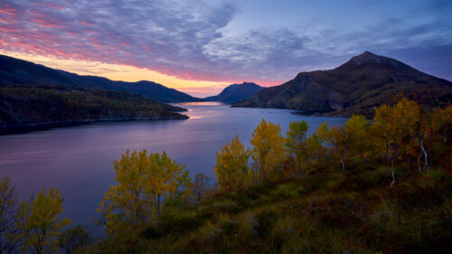 Breathtaking Norwegian Fjord Sunset with Golden Autumn Trees PC Wallpaper