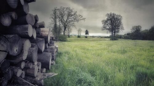 Moody Rural Landscape with Stacked Timber Logs Desktop Wallpaper