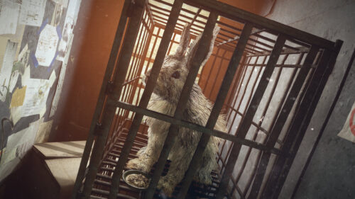Stray Rabbit in a Metal Cage Cinematic 4K Desktop Wallpaper