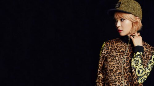 Stylish K-pop Idol in Leopard Print Jacket PC Wallpaper